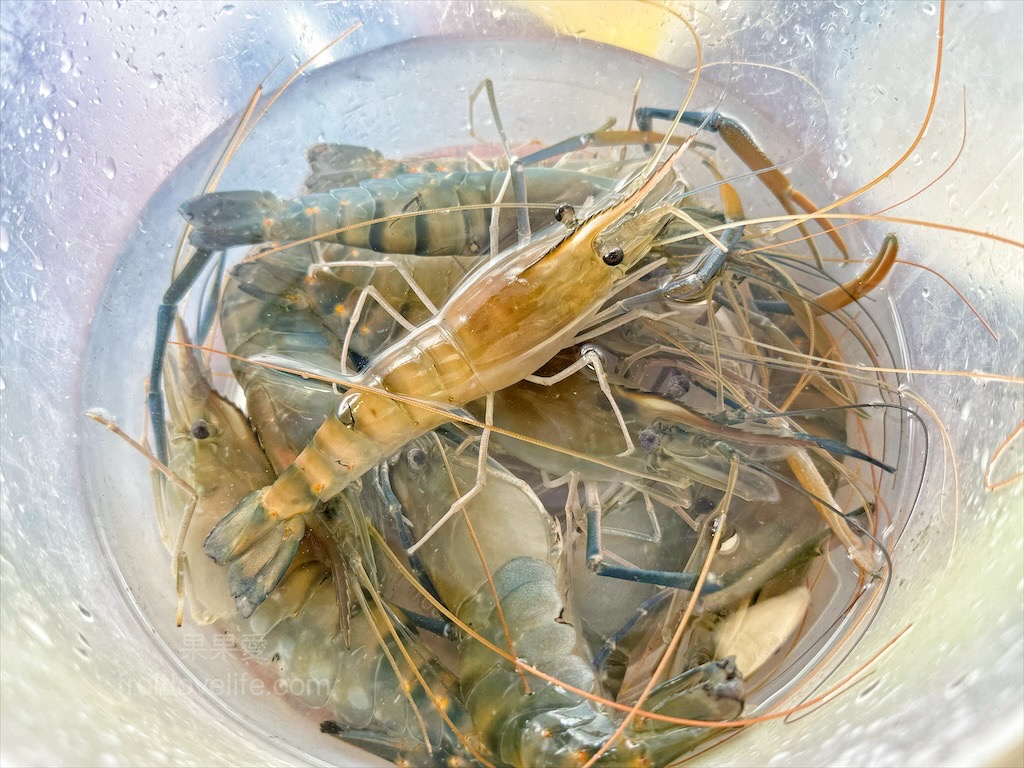 阿晾薑母鴨 | 南投薑母鴨推薦,薑母鴨、胡椒全鴨還可以一鍋兩吃,山泉水養殖吳郭魚、現撈泰國蝦,埔里在地美食,TVBS食尚玩家推薦 @果果愛Fruitlove 阿晾薑母鴨 | 南投薑母鴨推薦,薑母鴨、胡椒全鴨還可以一鍋兩吃,山泉水養殖吳郭魚、現撈泰國蝦,埔里在地美食,TVBS食尚玩家推薦 @果果愛Fruitlove