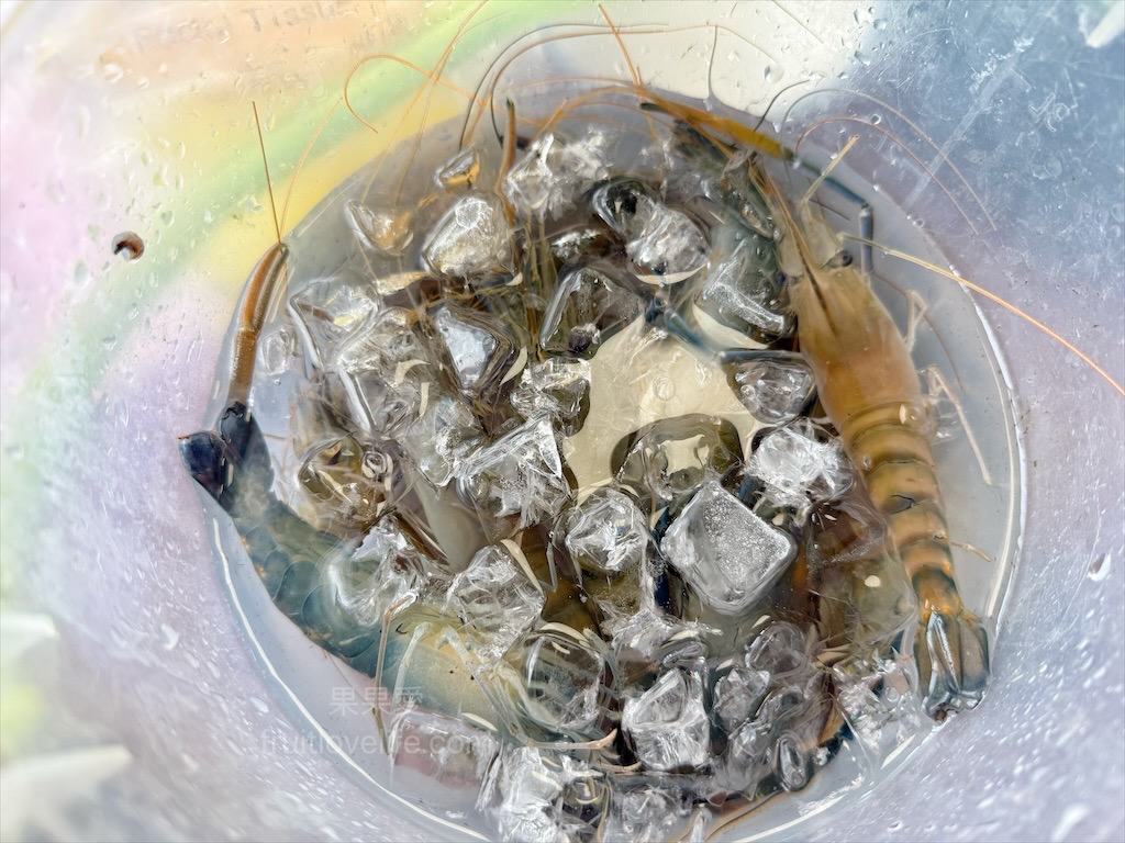 阿晾薑母鴨 | 南投薑母鴨推薦,薑母鴨、胡椒全鴨還可以一鍋兩吃,山泉水養殖吳郭魚、現撈泰國蝦,埔里在地美食,TVBS食尚玩家推薦 @果果愛Fruitlove 阿晾薑母鴨 | 南投薑母鴨推薦,薑母鴨、胡椒全鴨還可以一鍋兩吃,山泉水養殖吳郭魚、現撈泰國蝦,埔里在地美食,TVBS食尚玩家推薦 @果果愛Fruitlove