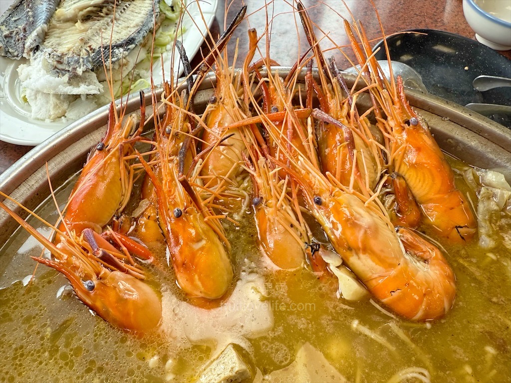 阿晾薑母鴨 | 南投薑母鴨推薦,薑母鴨、胡椒全鴨還可以一鍋兩吃,山泉水養殖吳郭魚、現撈泰國蝦,埔里在地美食,TVBS食尚玩家推薦 @果果愛Fruitlove 阿晾薑母鴨 | 南投薑母鴨推薦,薑母鴨、胡椒全鴨還可以一鍋兩吃,山泉水養殖吳郭魚、現撈泰國蝦,埔里在地美食,TVBS食尚玩家推薦 @果果愛Fruitlove