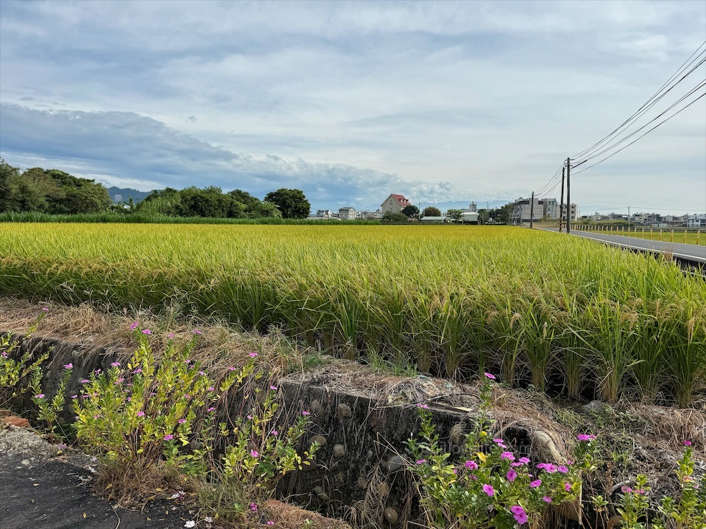 一饌泰式銅盤燒烤火鍋 | 南投草屯田野間超人氣泰式燒烤火鍋，湯頭三吃、高品質肉品、寵物友善、無服務費 @果果愛Fruitlove