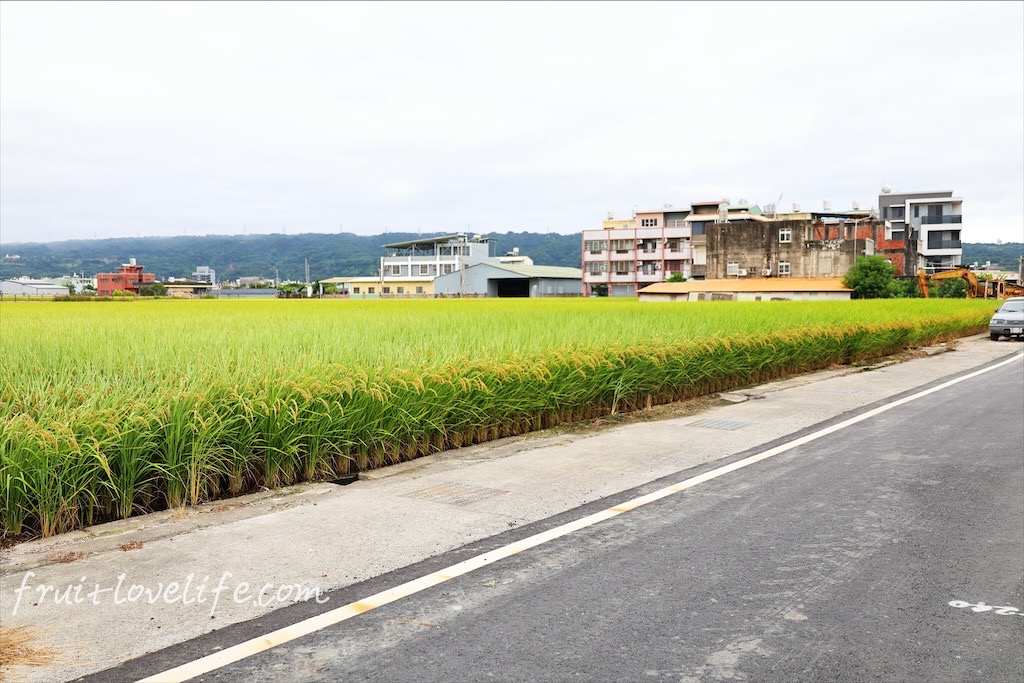 一饌泰式銅盤燒烤火鍋 | 南投草屯田野間超人氣泰式燒烤火鍋，湯頭三吃、高品質肉品、寵物友善、無服務費 @果果愛Fruitlove