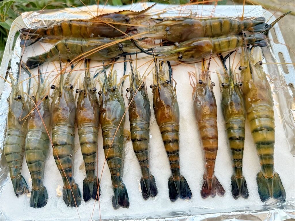 北港牛墟 | 雲林北港景點,北港百年歷史大市集,開市日超熱鬧,結合傳統市場+美食小吃,來挖寶找好貨 @果果愛Fruitlove 北港牛墟 | 雲林北港景點,北港百年歷史大市集,開市日超熱鬧,結合傳統市場+美食小吃,來挖寶找好貨 @果果愛Fruitlove