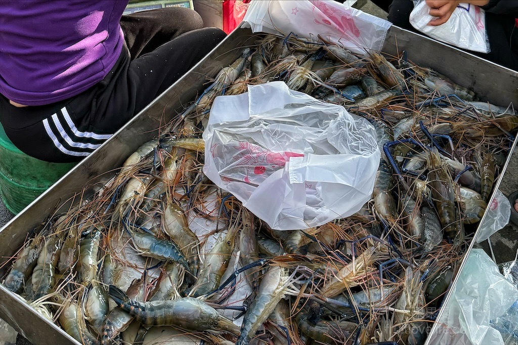 北港牛墟 | 雲林北港景點,北港百年歷史大市集,開市日超熱鬧,結合傳統市場+美食小吃,來挖寶找好貨 @果果愛Fruitlove 北港牛墟 | 雲林北港景點,北港百年歷史大市集,開市日超熱鬧,結合傳統市場+美食小吃,來挖寶找好貨 @果果愛Fruitlove