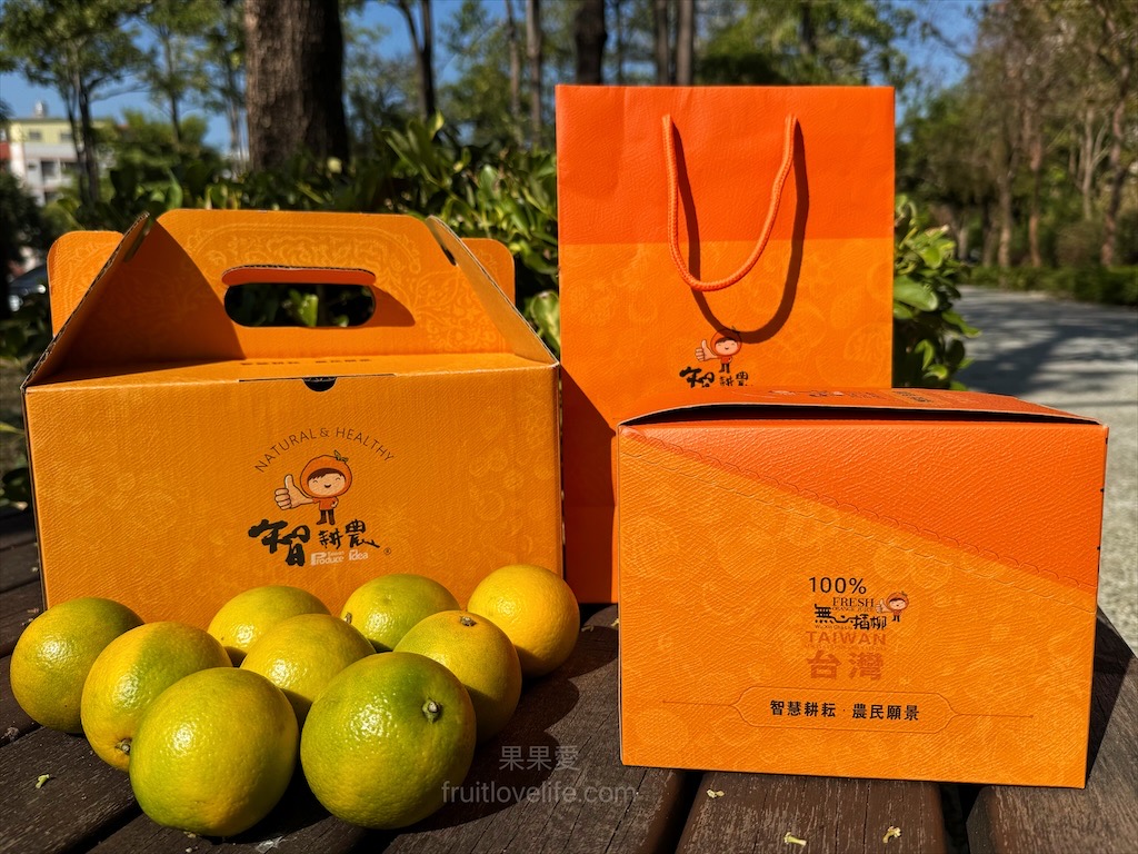 苑裡濱海公園&rang;苗栗苑裡親子寵物友善免費景點，盪著鞦韆看海，好舒服 @果果愛Fruitlove