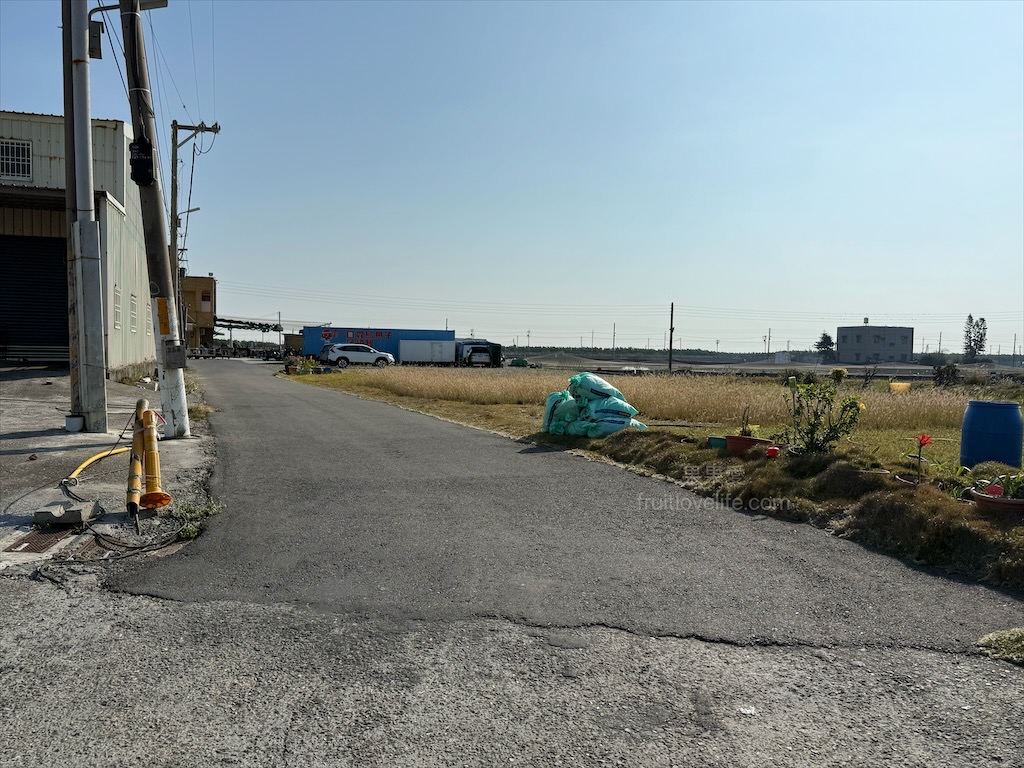 豐樺水產行(一口鱻) | 雲林口湖烏魚子、蒲燒鰻推薦，傳承四代工藝，烏魚子鮮甜回甘，蒲燒鰻肉質細緻、軟嫩 @果果愛Fruitlove