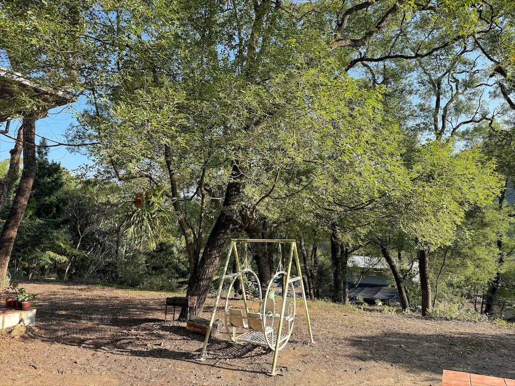 里山間美味披薩 | 南投國姓手作披薩，藏在小徑中的手作現烤pizza，環境超Chill，寵物友善，享受慢活食光 @果果愛Fruitlove