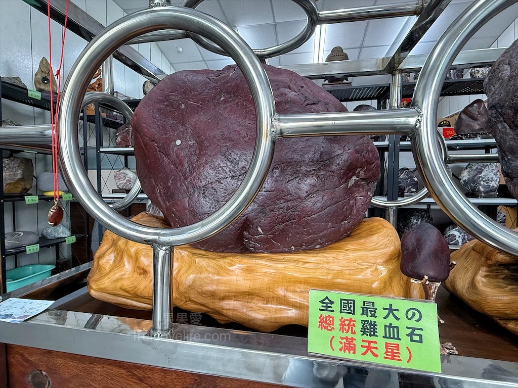 高地人莊園總店|南投咖啡廳，139縣道上的部落咖啡廳，品嚐原民風味餐與阿里山薊特色餐點，寵物友善、不限時Chill空間 @果果愛Fruitlove