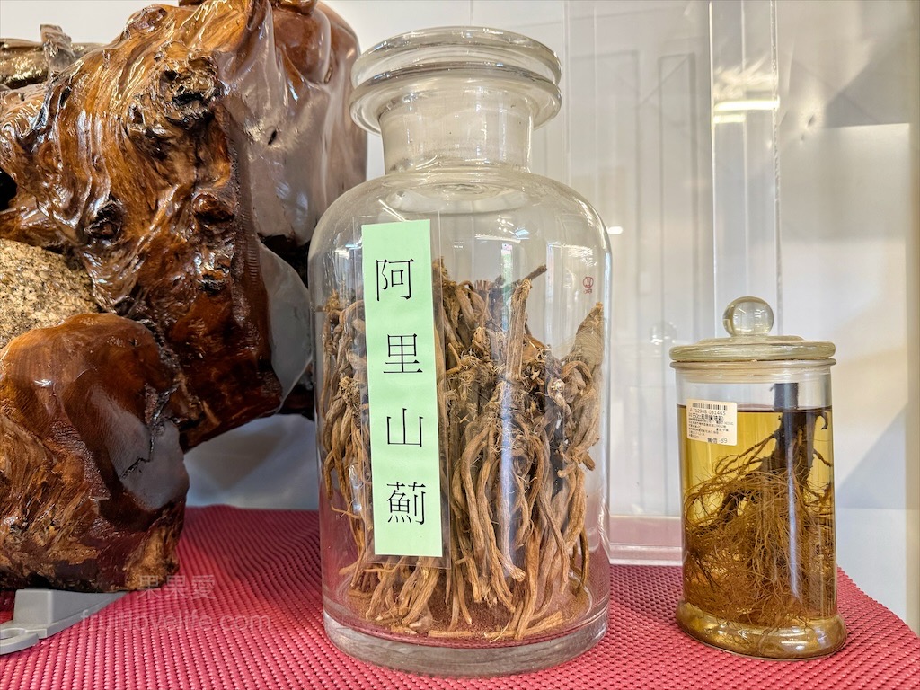 高地人莊園總店|南投咖啡廳，139縣道上的部落咖啡廳，品嚐原民風味餐與阿里山薊特色餐點，寵物友善、不限時Chill空間 @果果愛Fruitlove