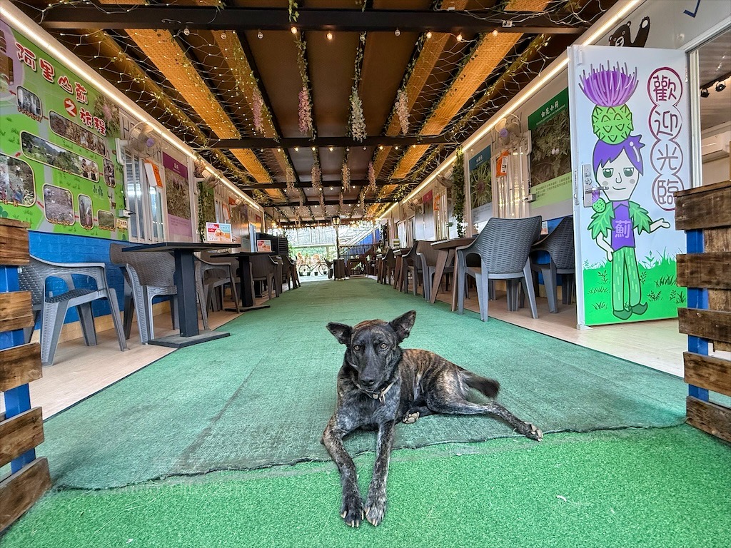 高地人莊園總店|南投咖啡廳，139縣道上的部落咖啡廳，品嚐原民風味餐與阿里山薊特色餐點，寵物友善、不限時Chill空間 @果果愛Fruitlove