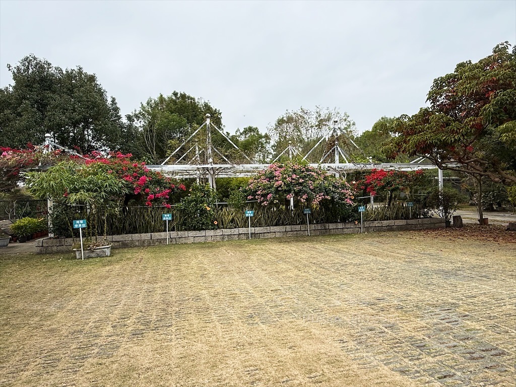 石岡水舍蝦蝦飯主題餐廳|台中石岡蝦蝦飯，沖繩蝦蝦飯在東豐自行車綠廊附近就可以吃到囉! @果果愛Fruitlove