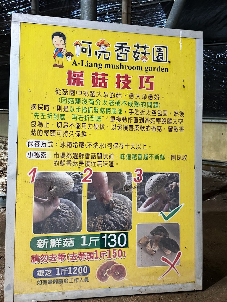 菇神新社店X阿亮香菇園|台中新社半日遊,米其林和必比登推薦火鍋,還有多樣功夫菜,親子採菇趣、寵物友善 @果果愛Fruitlove 菇神新社店X阿亮香菇園|台中新社半日遊,米其林和必比登推薦火鍋,還有多樣功夫菜,親子採菇趣、寵物友善 @果果愛Fruitlove