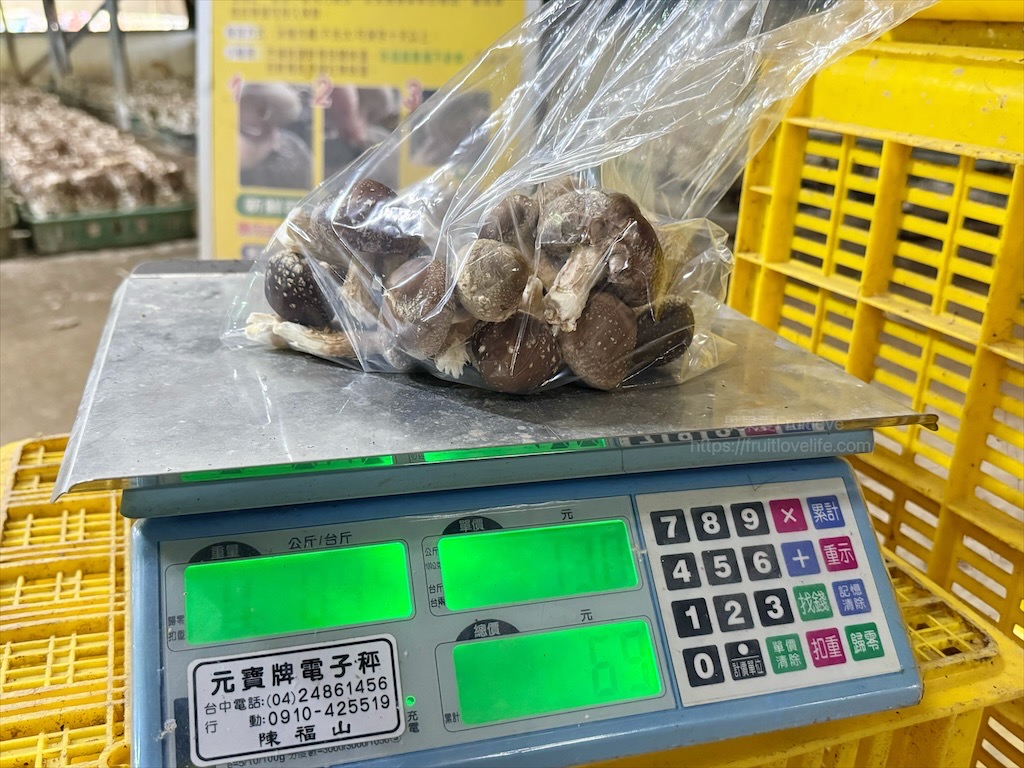 菇神新社店X阿亮香菇園|台中新社半日遊,米其林和必比登推薦火鍋,還有多樣功夫菜,親子採菇趣、寵物友善 @果果愛Fruitlove 菇神新社店X阿亮香菇園|台中新社半日遊,米其林和必比登推薦火鍋,還有多樣功夫菜,親子採菇趣、寵物友善 @果果愛Fruitlove