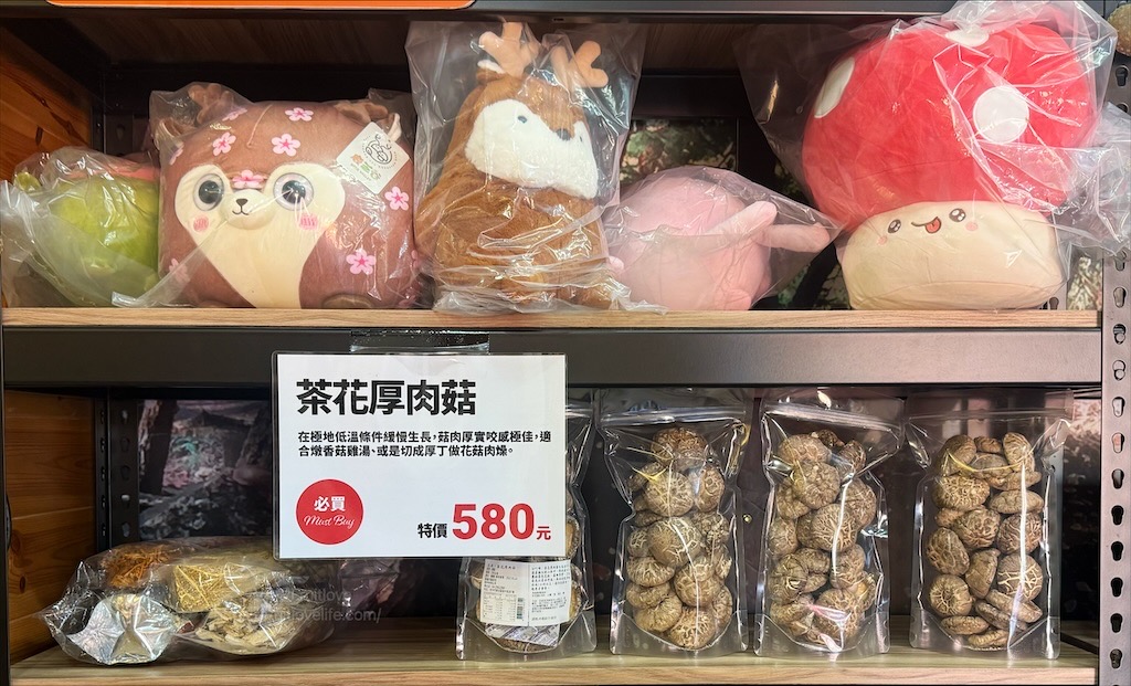 菇神新社店X阿亮香菇園|台中新社半日遊，米其林和必比登推薦火鍋，還有多樣功夫菜，親子採菇趣、寵物友善 @果果愛Fruitlove