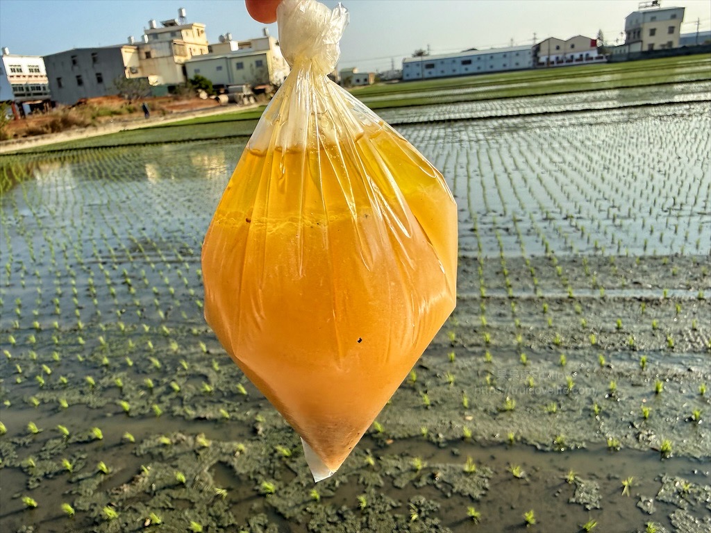 龍井區舊車路超好吃桶仔雞|台中龍井桶仔雞，超好吃的桶仔雞就隱藏在民宅裡，一雞三吃搭配出美味組合 @果果愛Fruitlove