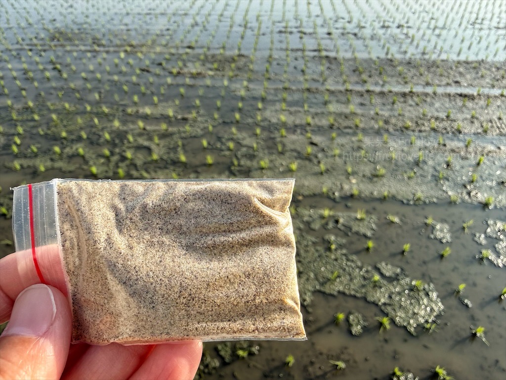 龍井區舊車路超好吃桶仔雞|台中龍井桶仔雞，超好吃的桶仔雞就隱藏在民宅裡，一雞三吃搭配出美味組合 @果果愛Fruitlove