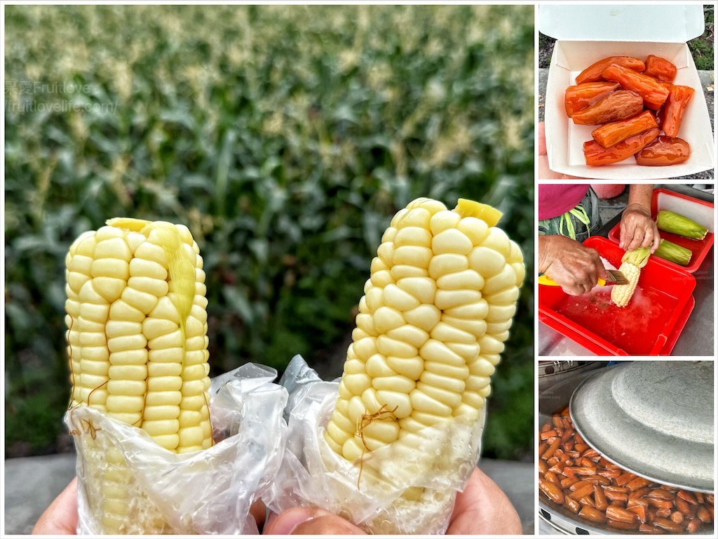 四重溪新興餐廳&rang;溫泉美食推薦，必喝養生土雞湯，寵物友善 @果果愛Fruitlove