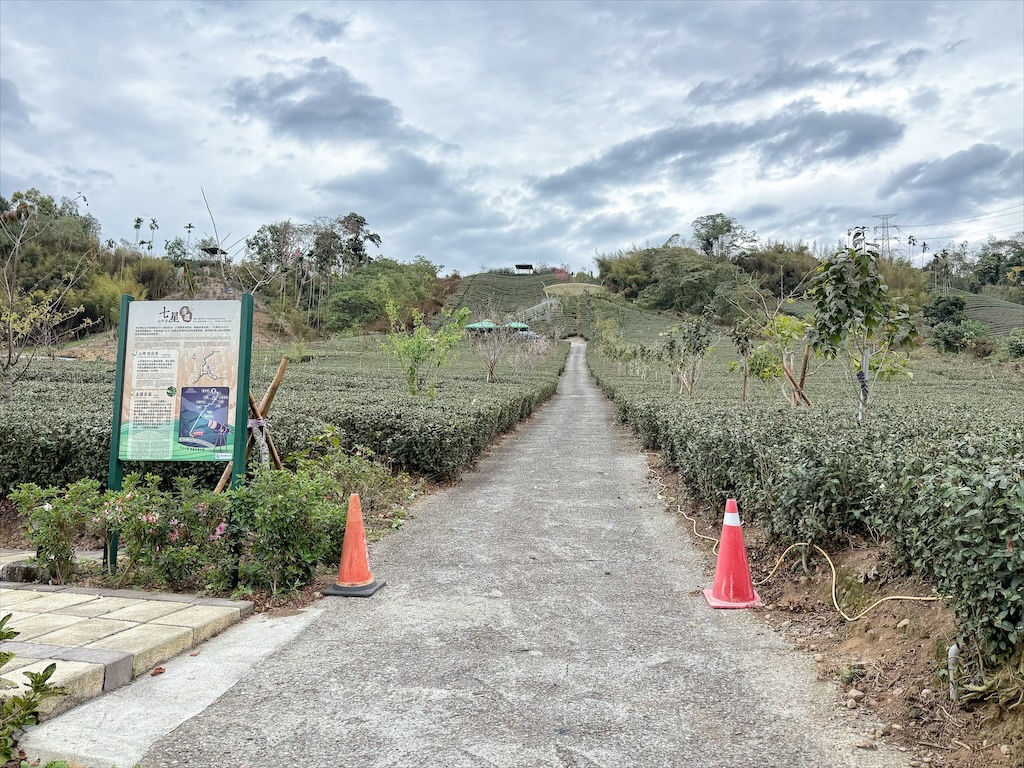 山坪頂七星步道|南投竹山景點，漫步金萱茶園步道，輕鬆登頂欣賞絕美山景，親子、寵物友善 @果果愛Fruitlove