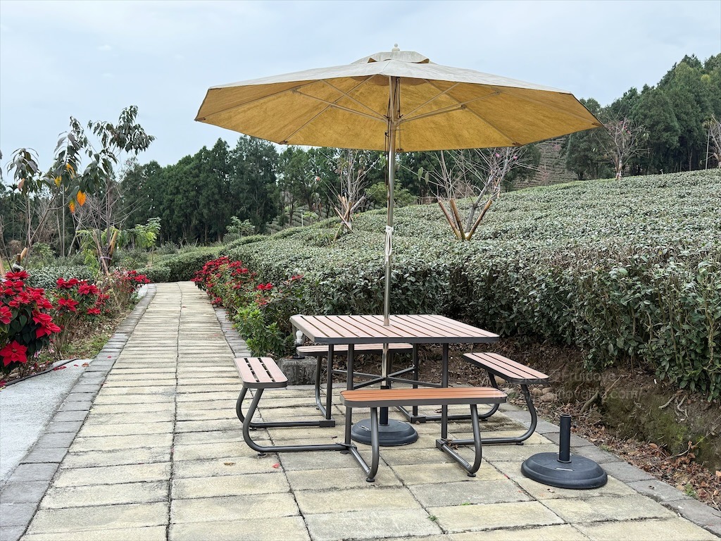 山坪頂七星步道|南投竹山景點，漫步金萱茶園步道，輕鬆登頂欣賞絕美山景，親子、寵物友善 @果果愛Fruitlove