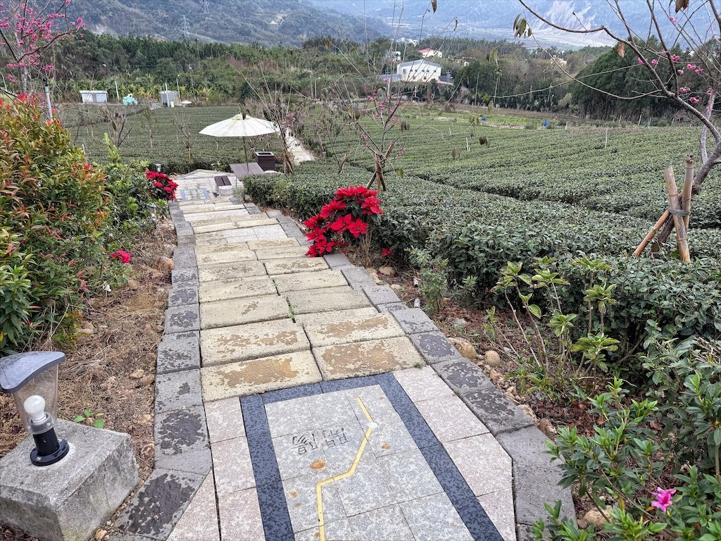 山坪頂七星步道|南投竹山景點，漫步金萱茶園步道，輕鬆登頂欣賞絕美山景，親子、寵物友善 @果果愛Fruitlove