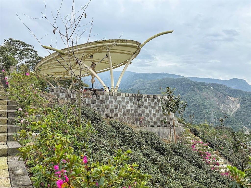 山坪頂七星步道|南投竹山景點，漫步金萱茶園步道，輕鬆登頂欣賞絕美山景，親子、寵物友善 @果果愛Fruitlove