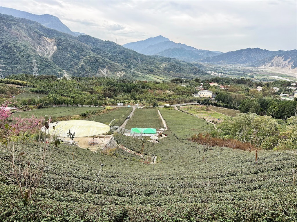 山坪頂七星步道|南投竹山景點，漫步金萱茶園步道，輕鬆登頂欣賞絕美山景，親子、寵物友善 @果果愛Fruitlove