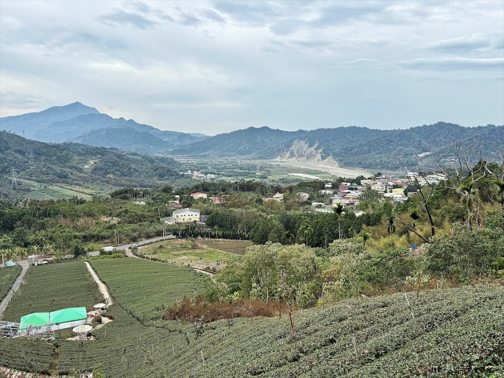 山坪頂七星步道|南投竹山景點，漫步金萱茶園步道，輕鬆登頂欣賞絕美山景，親子、寵物友善 @果果愛Fruitlove