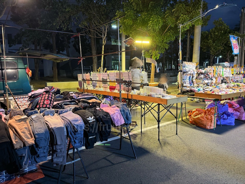 嘉義朴子週六夜市連在地人也好愛來逛，跟我們一起來看看有那些排隊美食推薦 @果果愛Fruitlove