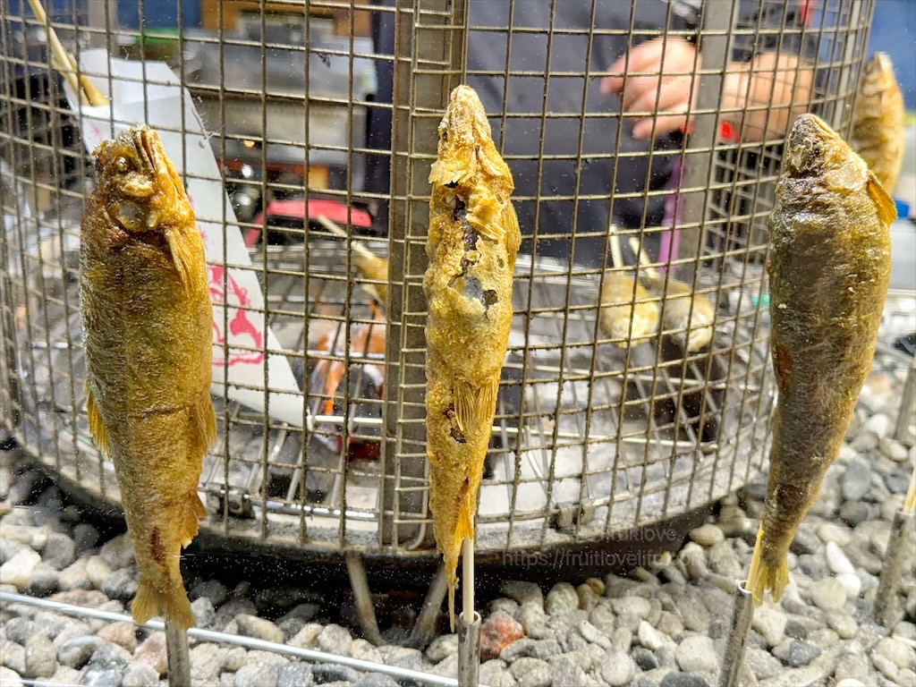 嘉義朴子週六夜市連在地人也好愛來逛，跟我們一起來看看有那些排隊美食推薦 @果果愛Fruitlove