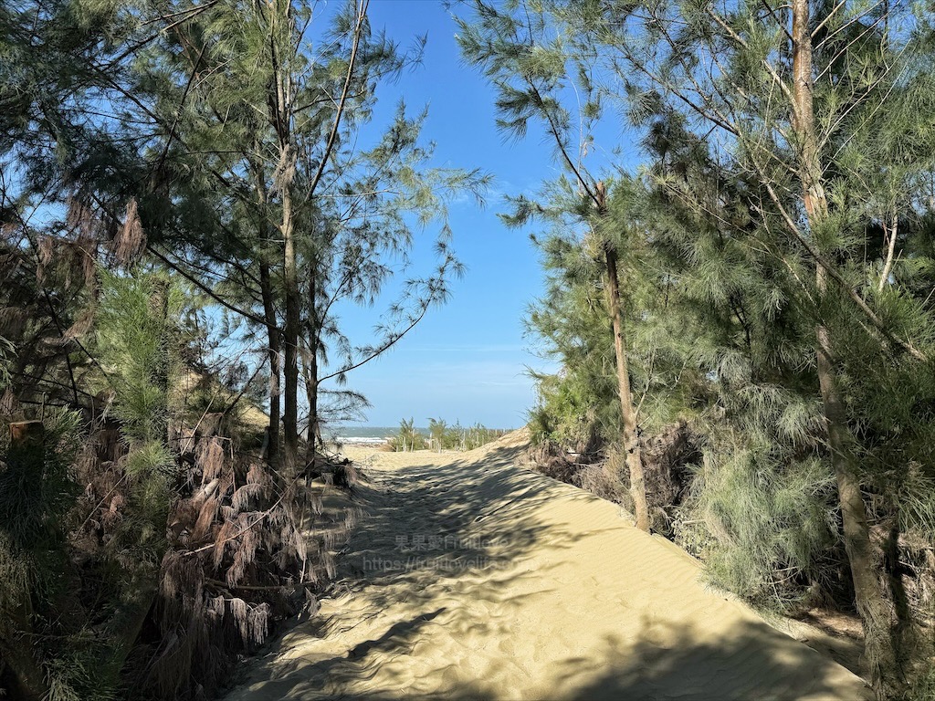 福爌肉飯 | 台中大里爌肉飯，爌肉飯好吃入味，爌肉皮Q軟、肉不柴、不鹹膩 @果果愛Fruitlove