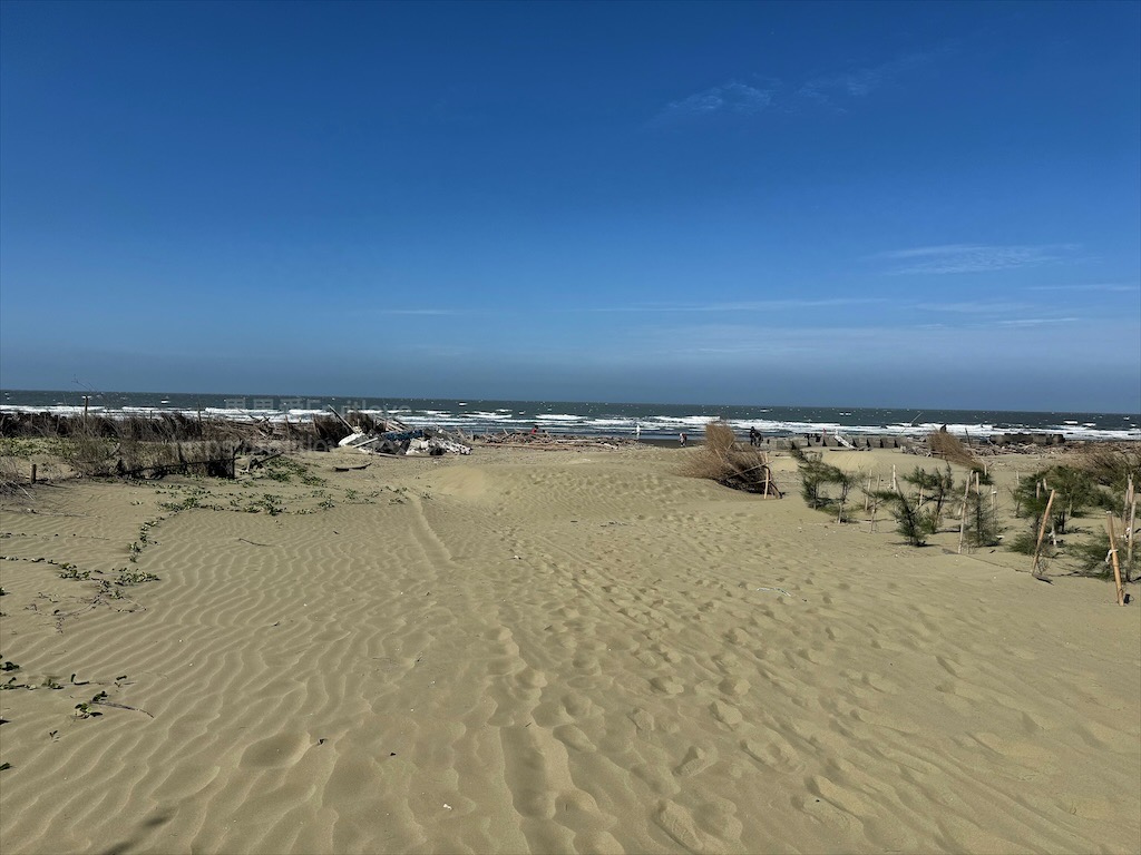 好美里防風林|嘉義布袋好美里沙灘,踏浪戲沙、挖蛤蜊、觀賞夕陽,享受親子時光 @果果愛Fruitlove 好美里防風林|嘉義布袋好美里沙灘,踏浪戲沙、挖蛤蜊、觀賞夕陽,享受親子時光 @果果愛Fruitlove