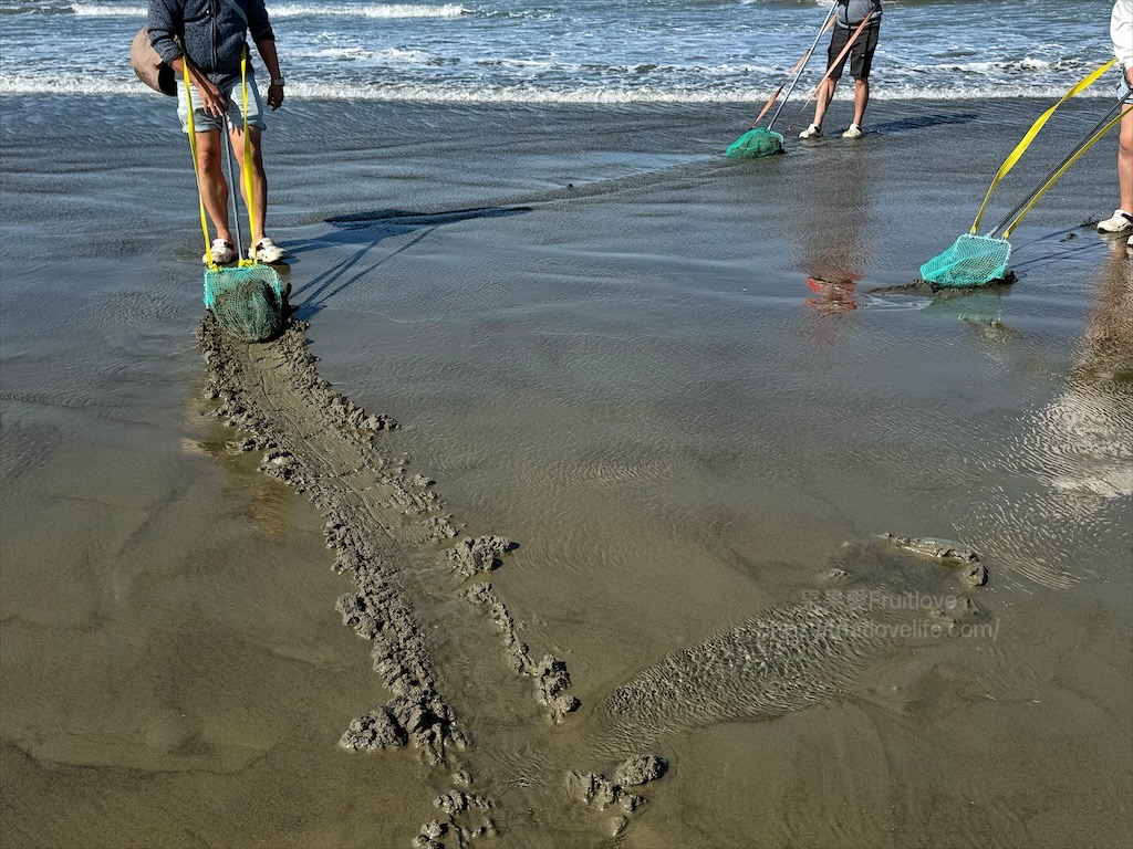 好美里防風林|嘉義布袋好美里沙灘,踏浪戲沙、挖蛤蜊、觀賞夕陽,享受親子時光 @果果愛Fruitlove 好美里防風林|嘉義布袋好美里沙灘,踏浪戲沙、挖蛤蜊、觀賞夕陽,享受親子時光 @果果愛Fruitlove