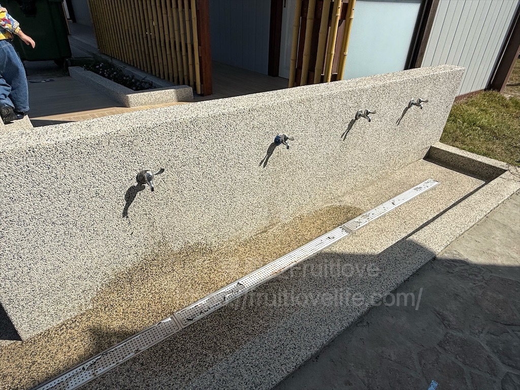 好美里防風林|嘉義布袋好美里沙灘,踏浪戲沙、挖蛤蜊、觀賞夕陽,享受親子時光 @果果愛Fruitlove 好美里防風林|嘉義布袋好美里沙灘,踏浪戲沙、挖蛤蜊、觀賞夕陽,享受親子時光 @果果愛Fruitlove