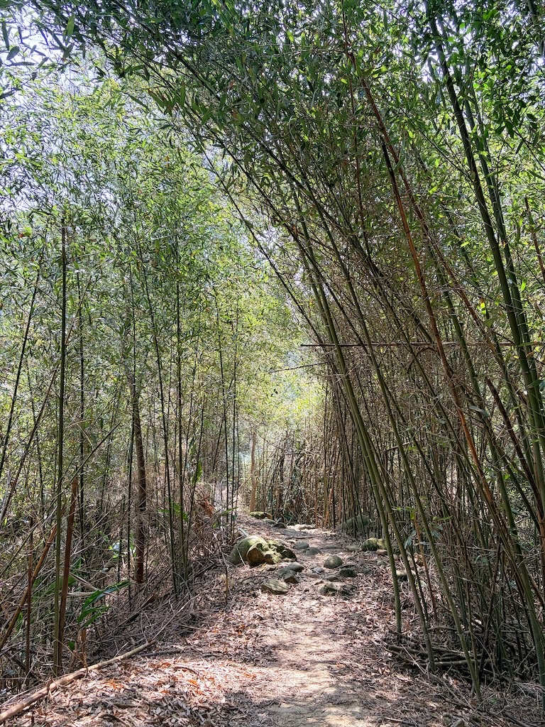 墨硯山步道|苗栗頭屋景點,城市山巒美景盡收眼底,30分鐘內輕鬆攻頂,親子、寵物友善 @果果愛Fruitlove 墨硯山步道|苗栗頭屋景點,城市山巒美景盡收眼底,30分鐘內輕鬆攻頂,親子、寵物友善 @果果愛Fruitlove