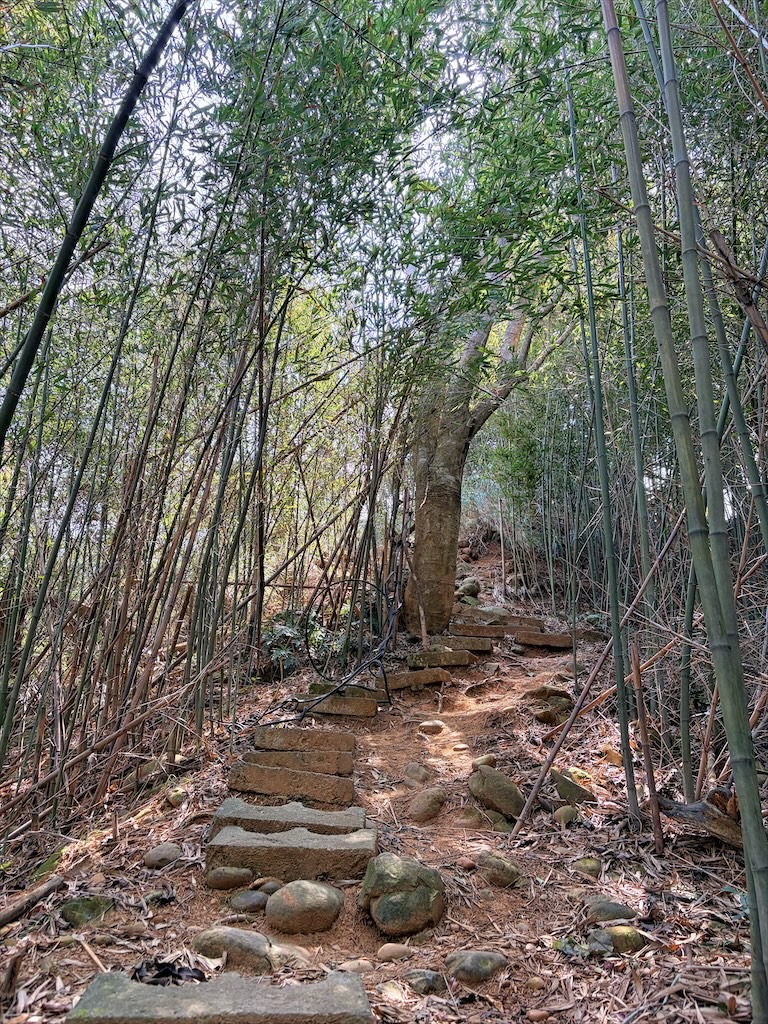 墨硯山步道|苗栗頭屋景點,城市山巒美景盡收眼底,30分鐘內輕鬆攻頂,親子、寵物友善 @果果愛Fruitlove 墨硯山步道|苗栗頭屋景點,城市山巒美景盡收眼底,30分鐘內輕鬆攻頂,親子、寵物友善 @果果愛Fruitlove