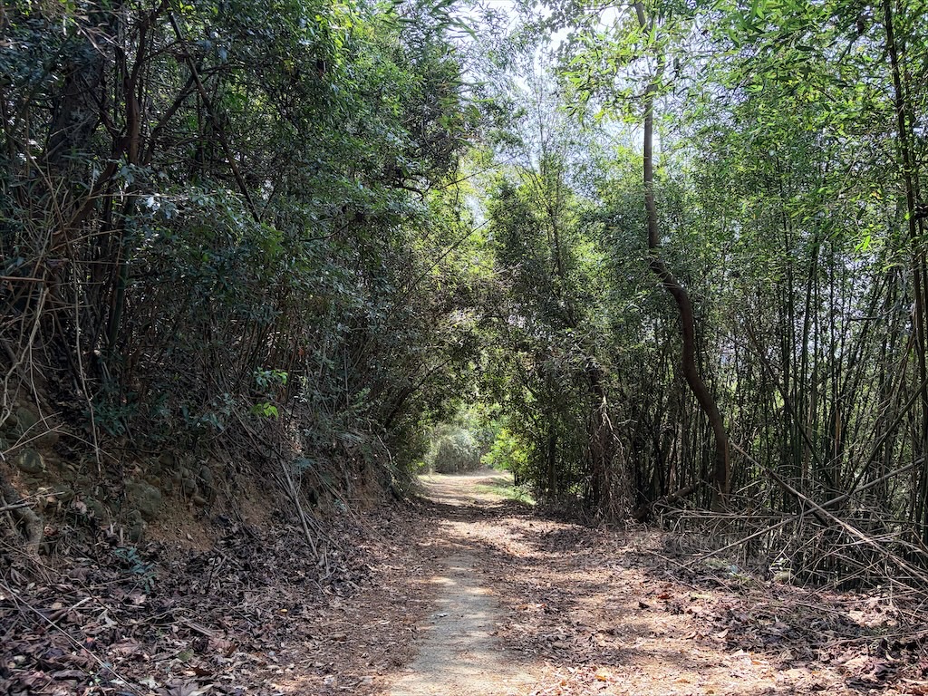 墨硯山步道|苗栗頭屋景點,城市山巒美景盡收眼底,30分鐘內輕鬆攻頂,親子、寵物友善 @果果愛Fruitlove 墨硯山步道|苗栗頭屋景點,城市山巒美景盡收眼底,30分鐘內輕鬆攻頂,親子、寵物友善 @果果愛Fruitlove