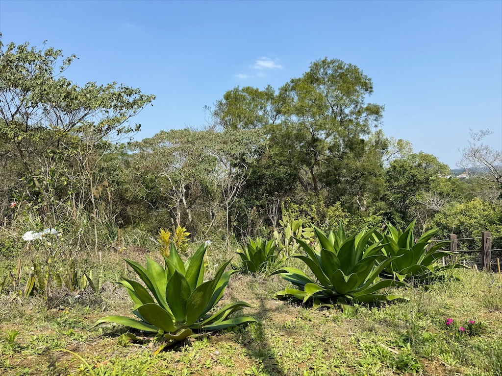 墨硯山步道|苗栗頭屋景點,城市山巒美景盡收眼底,30分鐘內輕鬆攻頂,親子、寵物友善 @果果愛Fruitlove 墨硯山步道|苗栗頭屋景點,城市山巒美景盡收眼底,30分鐘內輕鬆攻頂,親子、寵物友善 @果果愛Fruitlove