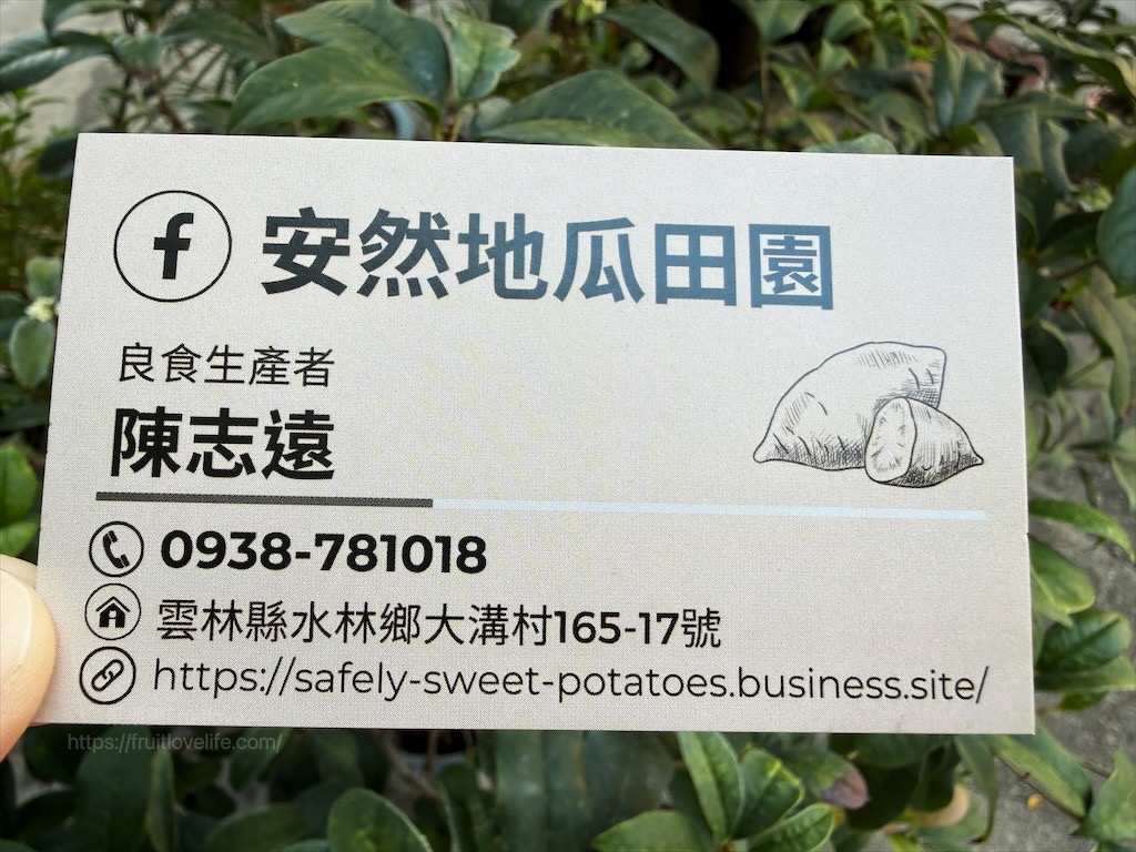 安然地瓜田園|雲林水林地瓜，親子大手牽小手體驗挖地瓜趣，現採台農57號黃金地瓜，DIY採收樂無窮 @果果愛Fruitlove