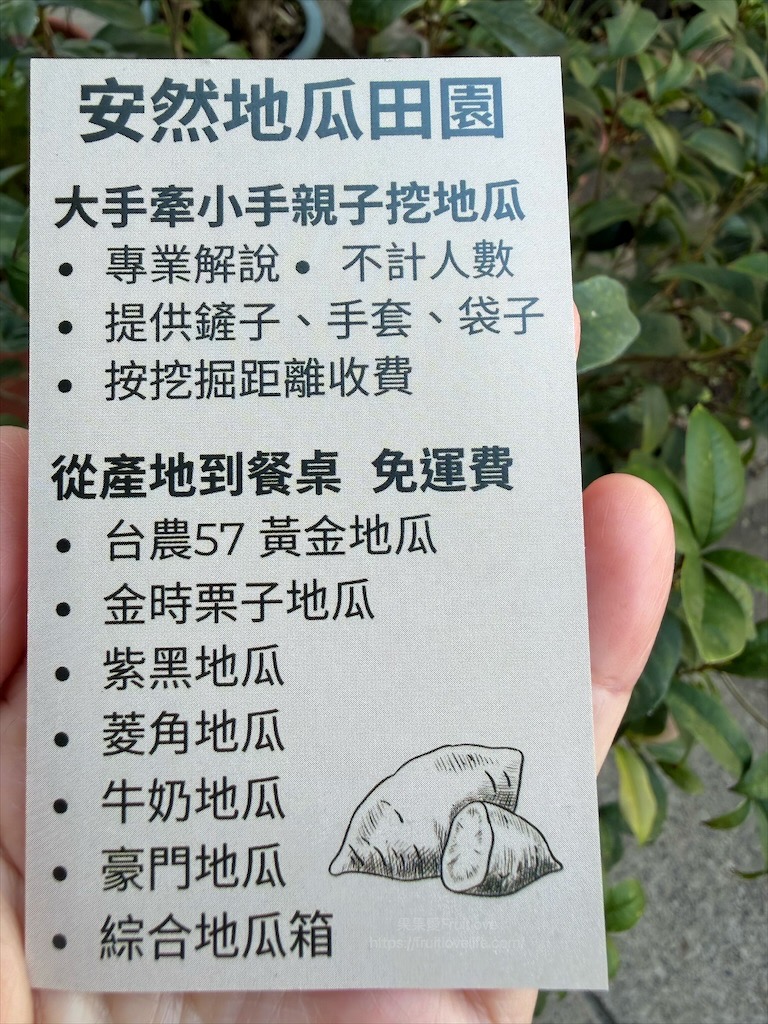 安然地瓜田園|雲林水林地瓜，親子大手牽小手體驗挖地瓜趣，現採台農57號黃金地瓜，DIY採收樂無窮 @果果愛Fruitlove