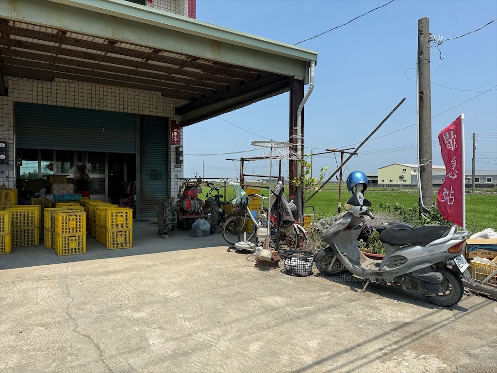 安然地瓜田園|雲林水林地瓜，親子大手牽小手體驗挖地瓜趣，現採台農57號黃金地瓜，DIY採收樂無窮 @果果愛Fruitlove