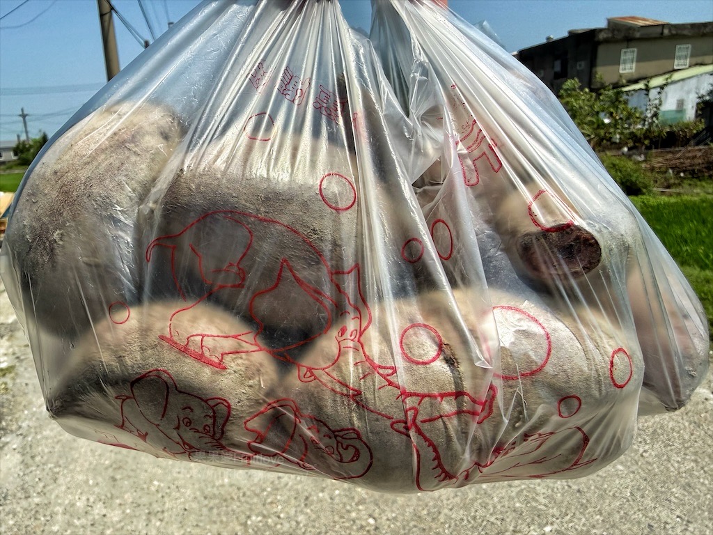 安然地瓜田園|雲林水林地瓜，親子大手牽小手體驗挖地瓜趣，現採台農57號黃金地瓜，DIY採收樂無窮 @果果愛Fruitlove