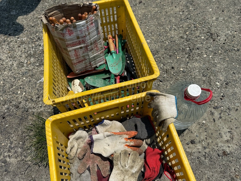 安然地瓜田園|雲林水林地瓜，親子大手牽小手體驗挖地瓜趣，現採台農57號黃金地瓜，DIY採收樂無窮 @果果愛Fruitlove