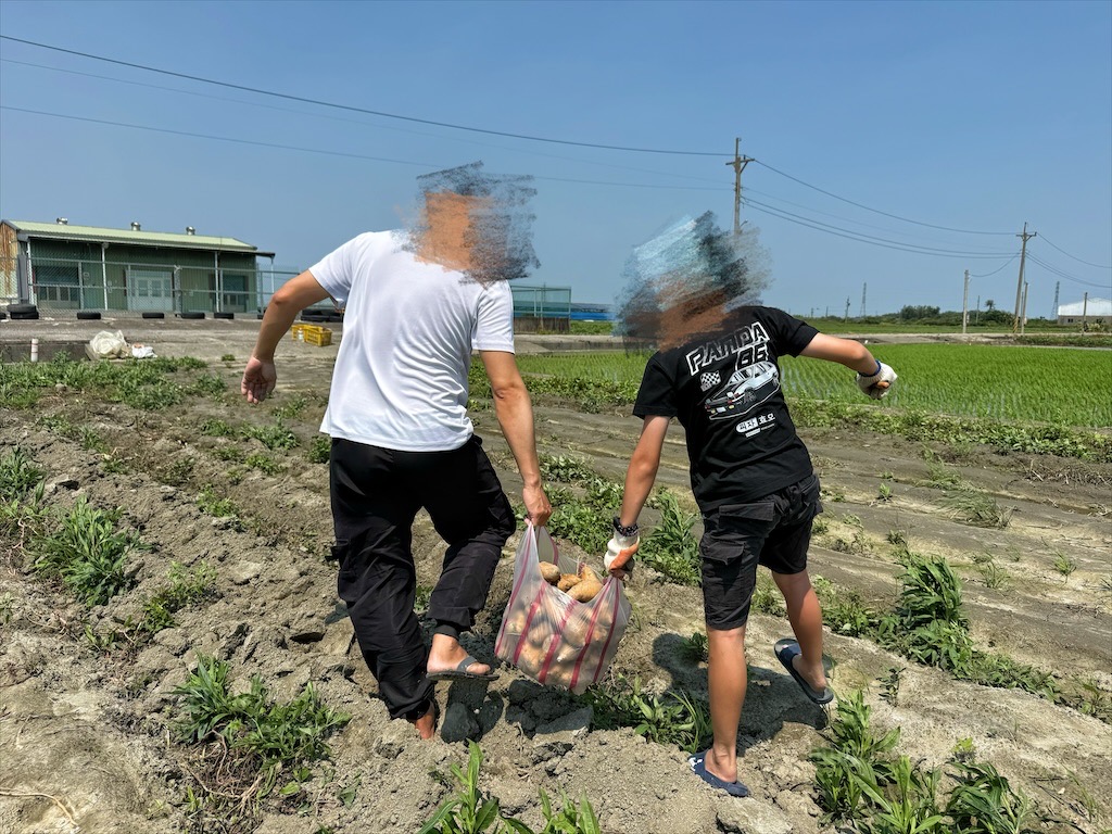 安然地瓜田園|雲林水林地瓜，親子大手牽小手體驗挖地瓜趣，現採台農57號黃金地瓜，DIY採收樂無窮 @果果愛Fruitlove