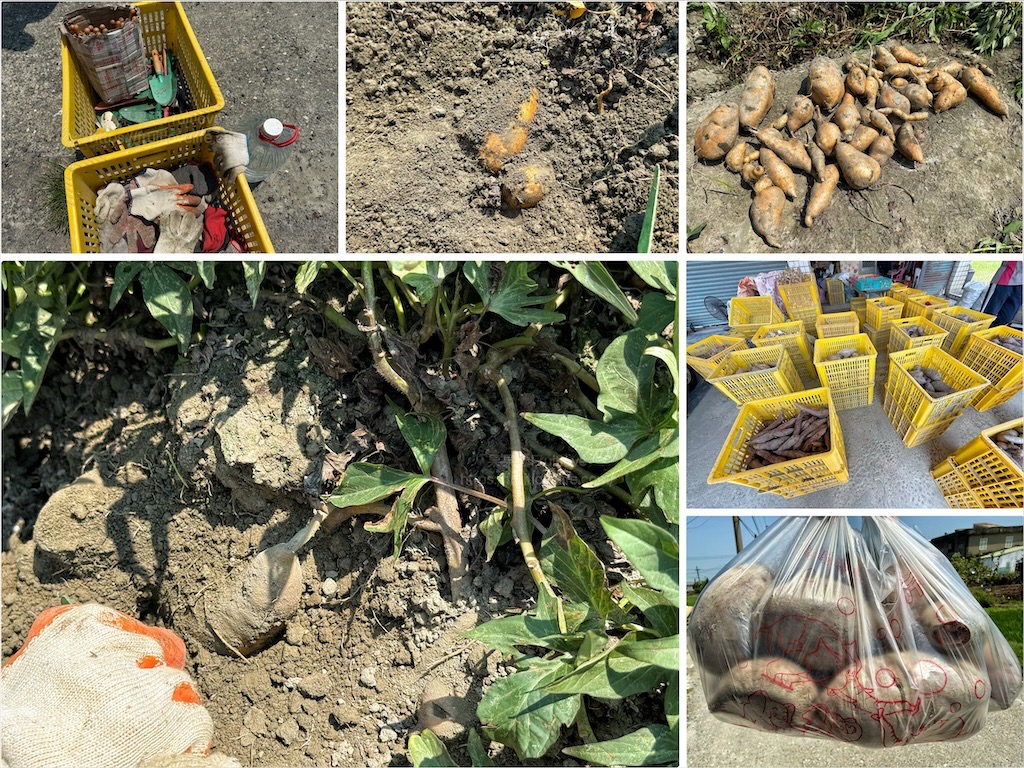 華得來(清水店) | 清水在地人激推的飲料店，鮮果茶系列都是真材實料，一喝就愛上了 @果果愛Fruitlove