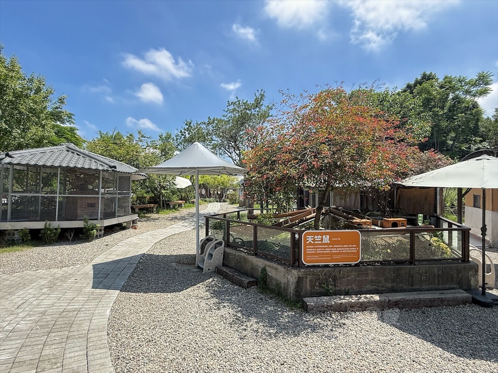 南投鹿谷親子景點｜鹿芝谷生態景觀園區：水豚、浣熊療癒系萌寵互動，山巒景色讓人感到美不勝收 @果果愛Fruitlove