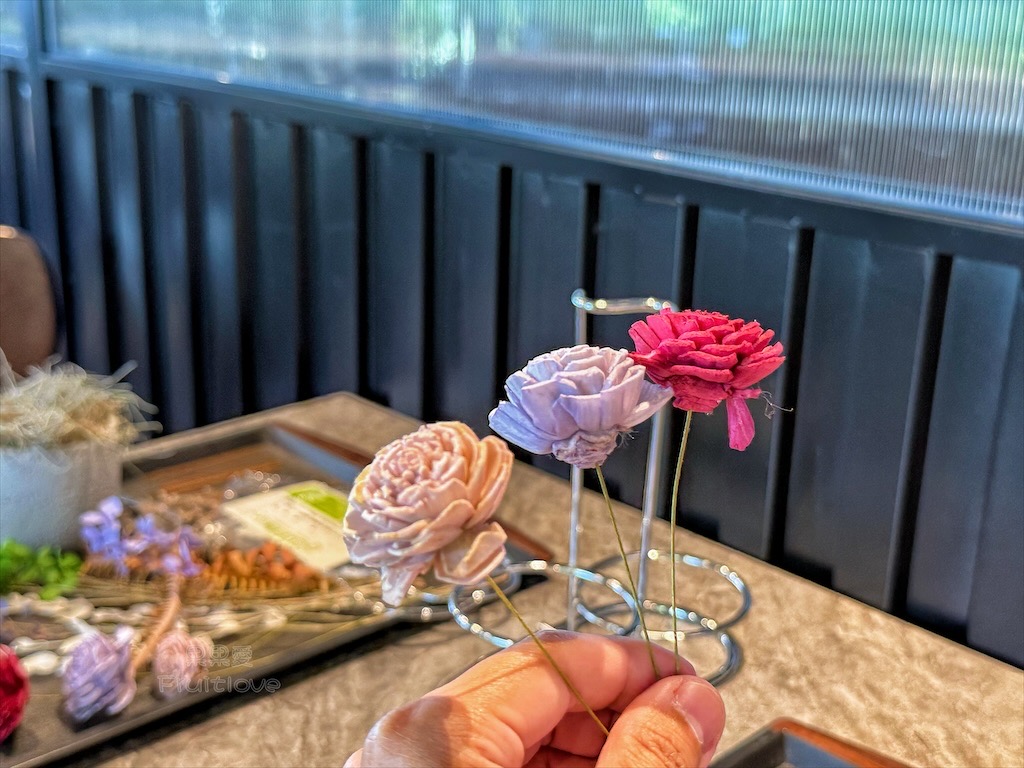 南投鹿谷親子景點｜鹿芝谷生態景觀園區：水豚、浣熊療癒系萌寵互動，山巒景色讓人感到美不勝收 @果果愛Fruitlove