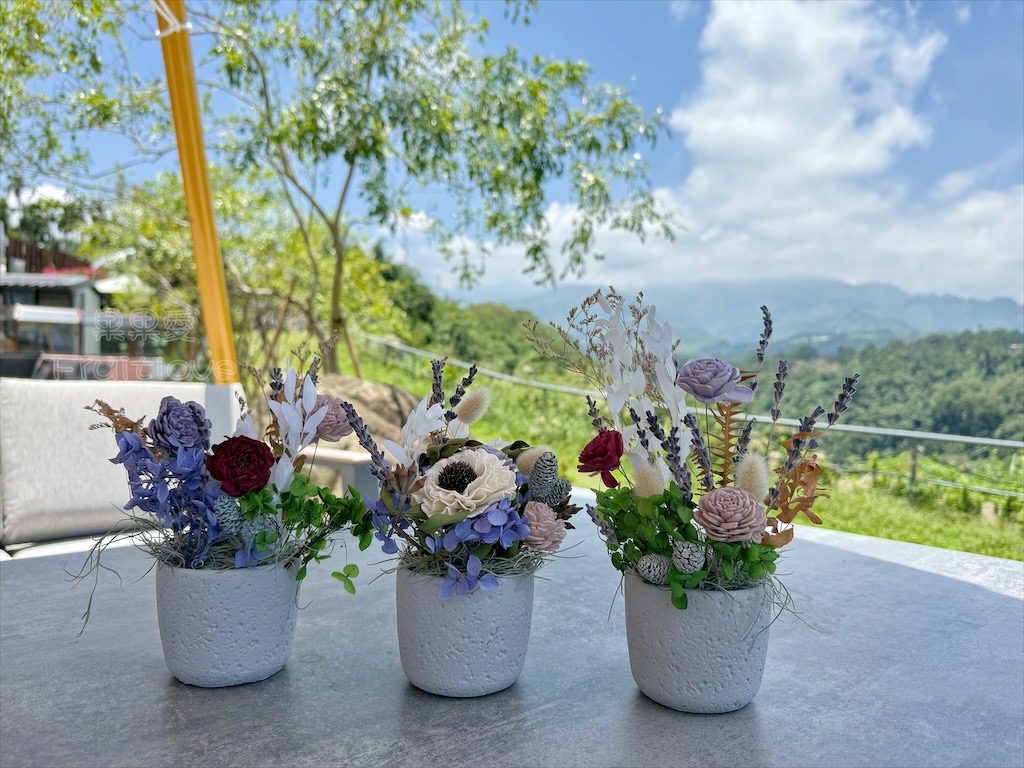 南投鹿谷親子景點｜鹿芝谷生態景觀園區：水豚、浣熊療癒系萌寵互動，山巒景色讓人感到美不勝收 @果果愛Fruitlove
