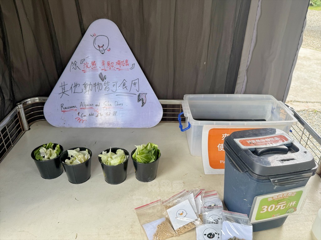 南投鹿谷親子景點｜鹿芝谷生態景觀園區：水豚、浣熊療癒系萌寵互動，山巒景色讓人感到美不勝收 @果果愛Fruitlove