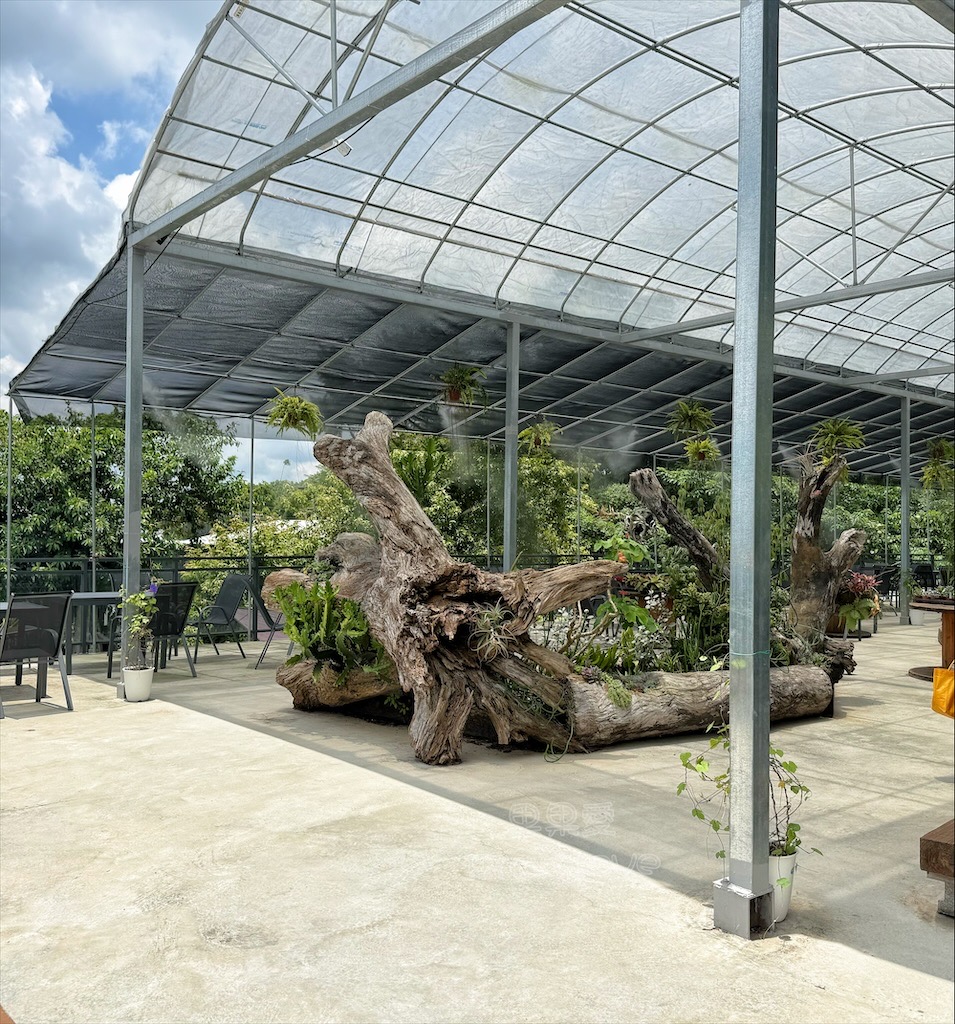 南投鹿谷親子景點｜鹿芝谷生態景觀園區：水豚、浣熊療癒系萌寵互動，山巒景色讓人感到美不勝收 @果果愛Fruitlove