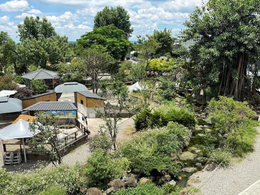 南投鹿谷親子景點｜鹿芝谷生態景觀園區：水豚、浣熊療癒系萌寵互動，山巒景色讓人感到美不勝收 @果果愛Fruitlove