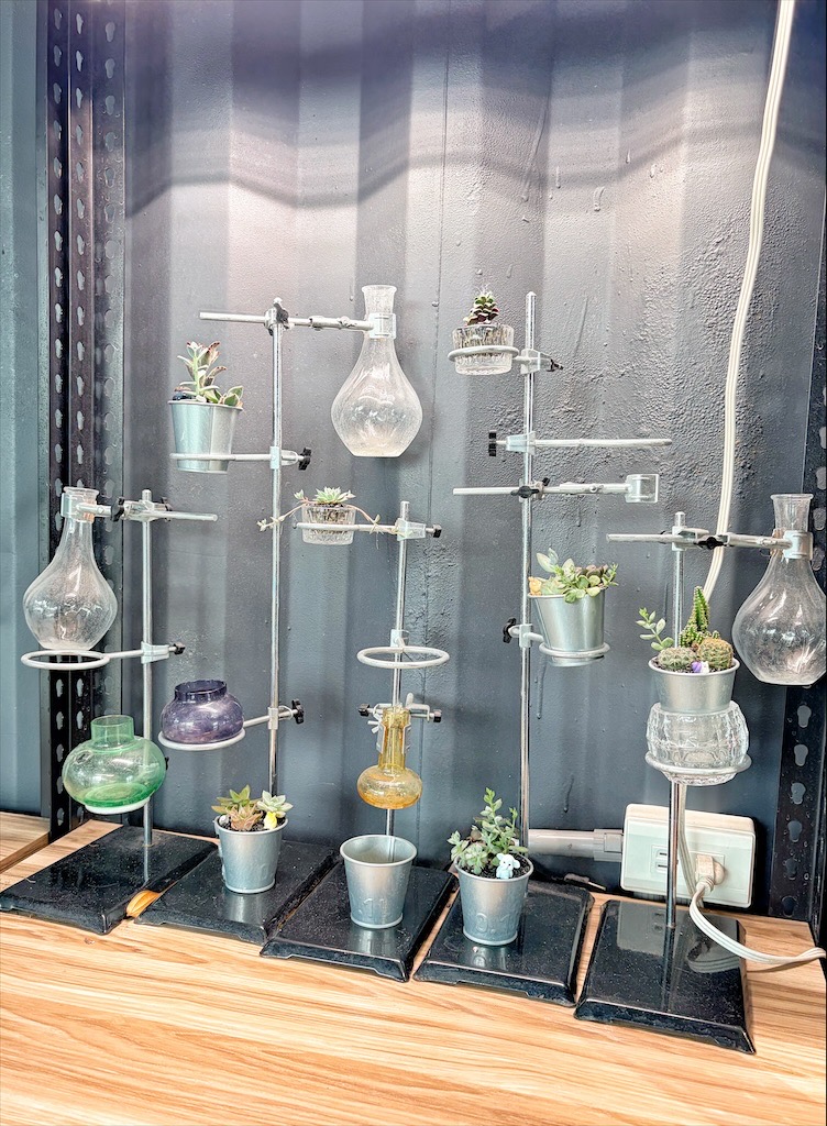 南投鹿谷親子景點｜鹿芝谷生態景觀園區：水豚、浣熊療癒系萌寵互動，山巒景色讓人感到美不勝收 @果果愛Fruitlove
